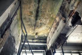 Best Mold Removal for HVAC Installations  in Norman, OK